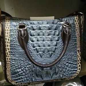 Brahmin small Lena Davos